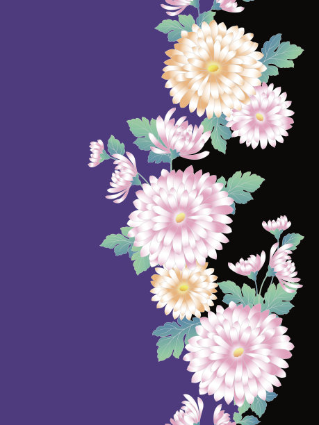 菊花插图