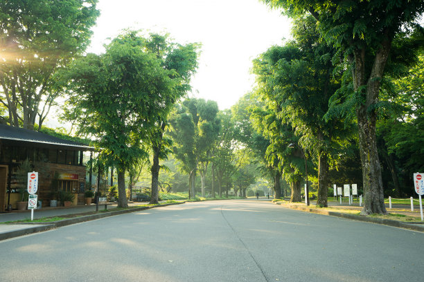 清晨的住宅小区