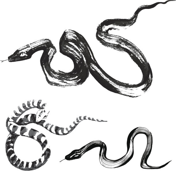 2013蛇
