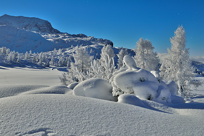 高山滑雪