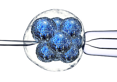医疗科技胚胎