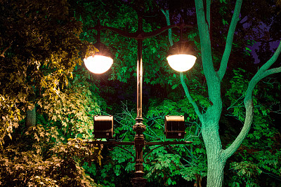 树干绿植装饰灯