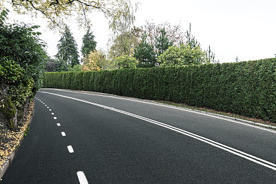 公路 大道 绿化带