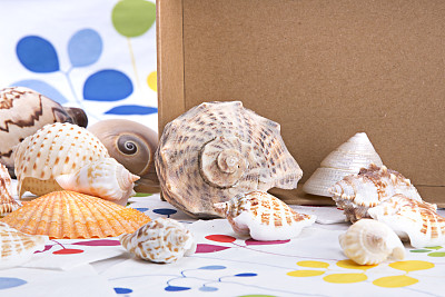 海螺纸箱