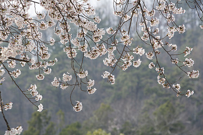 灵岩