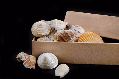 海螺纸箱