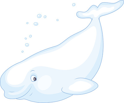 卡通可爱小鲸鱼