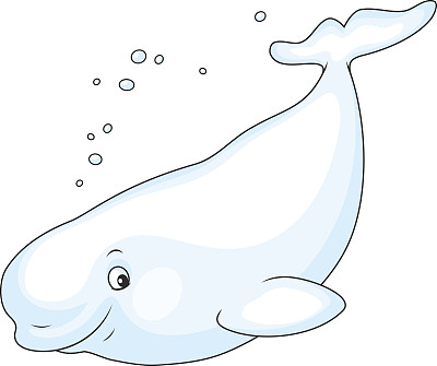 卡通可爱小鲸鱼