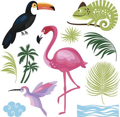 热带雨林火烈鸟插画