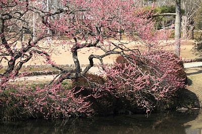 水,天空,水平画幅