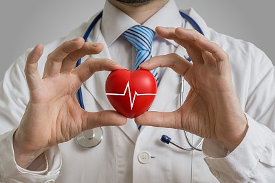心脏病专家,人类心脏,水平画幅