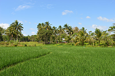 马尼拉风景