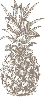 菠萝pineapple