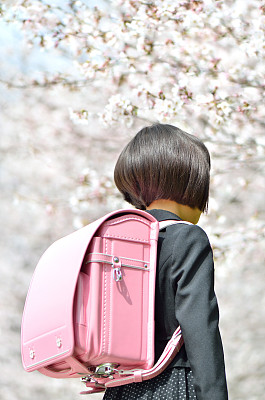 背影女孩与花