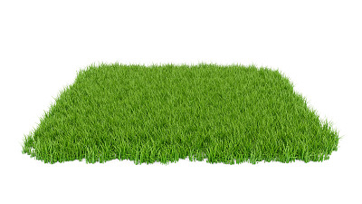 绿草草坪