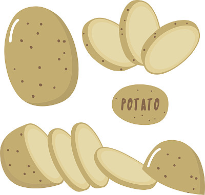 土豆矢量图素材
