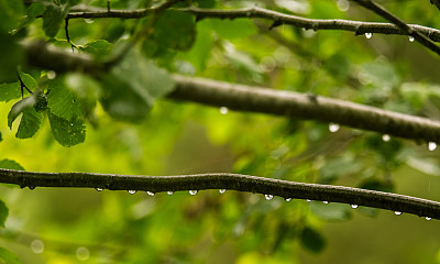 初夏的雨