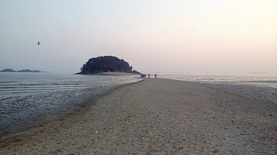 韩国海边滩涂