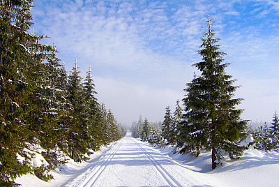 穿越冰雪森林的铁路