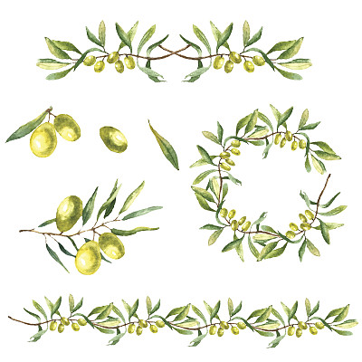 橄榄枝图案
