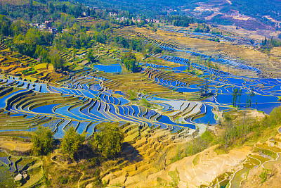 元阳梯田