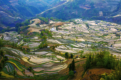 大山与稻田