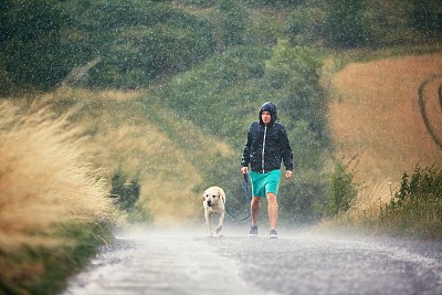 雨中行走