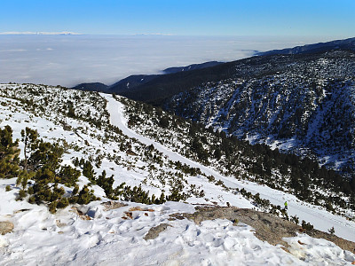 冬季旅游滑雪海报