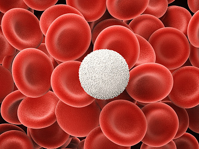 红细胞 血小板