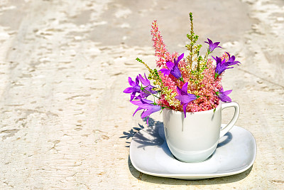 泡茶节日