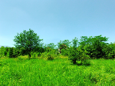 名宿风景