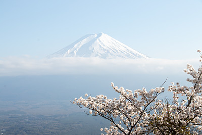 富士山插花