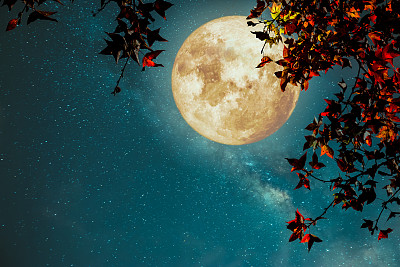 秋天的月亮