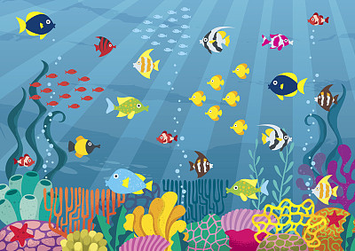 海底世界,鱼群,鱼缸