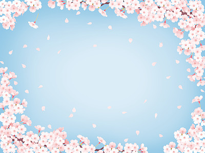 樱花节背景 