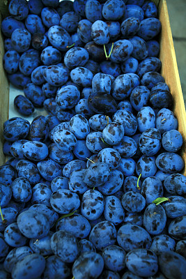 蓝莓彩箱