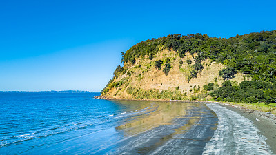 奥克兰海滨农场风景