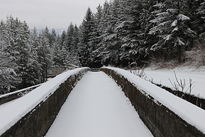 下雪后的操场