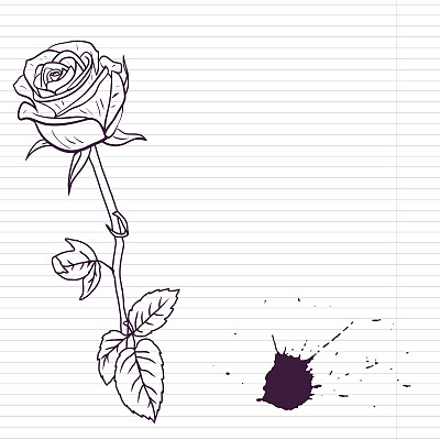 玫瑰花线条素描图
