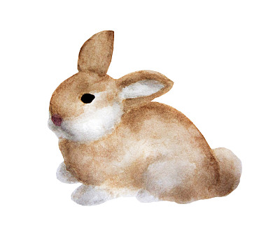 兔子彩绘