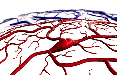 血管模拟