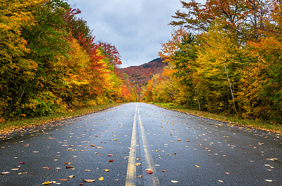 森林山路