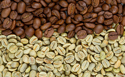 咖啡生豆素材