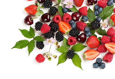 浆果野莓