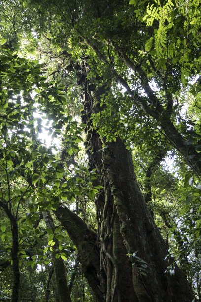 国际生物圈保护区