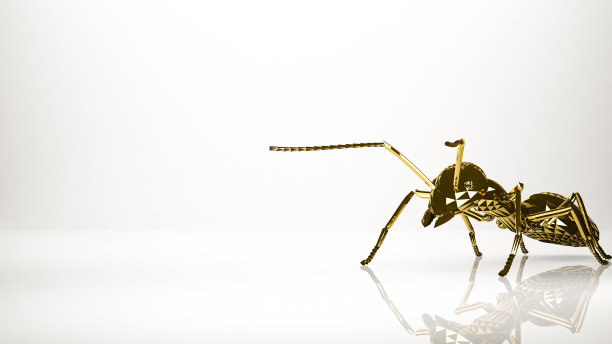钢铁蚂蚁