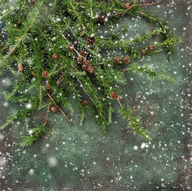 冷杉枝圣诞装饰花环图片