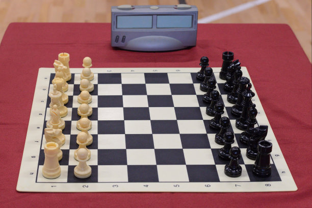竞争,国际象棋,休闲活动