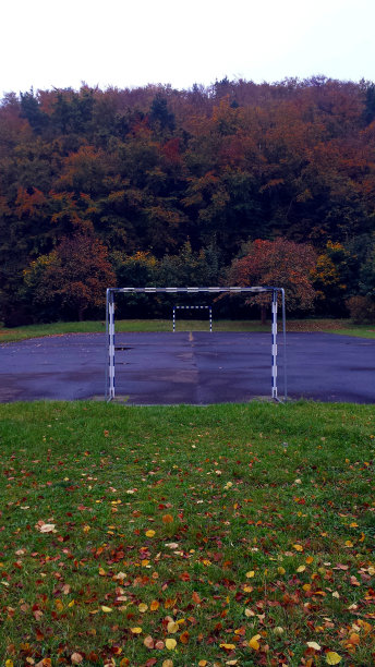 垂直画幅,足球场,褐色