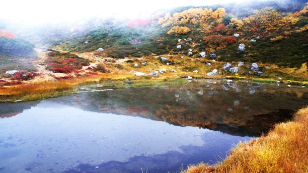 岳阳旅游